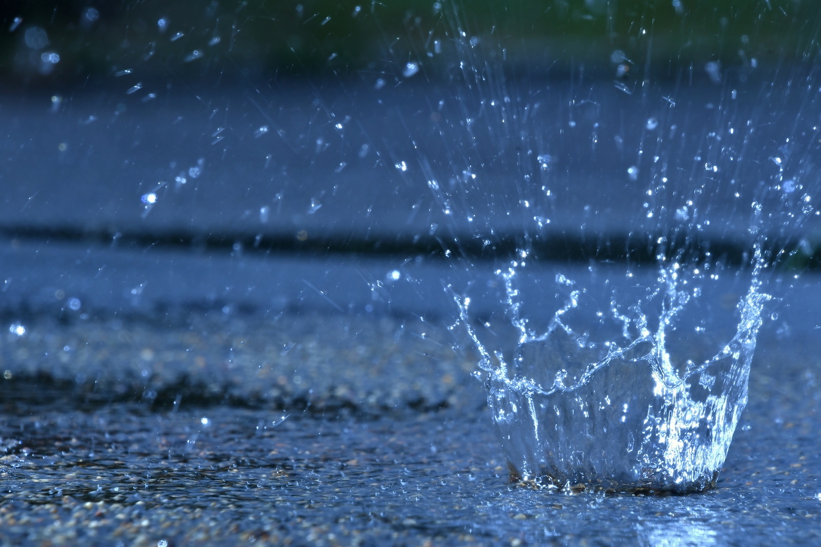 Adobe Stock 291233790